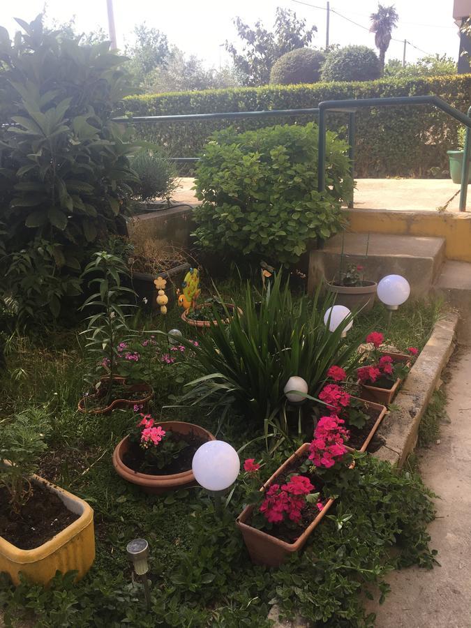 Apartment Mirana With Garden And Free Parking Zadar Exterior foto